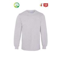 MyForm FESTİVAL BİSİKLET YAKA UZUN KOL T-SHIRTGRİ